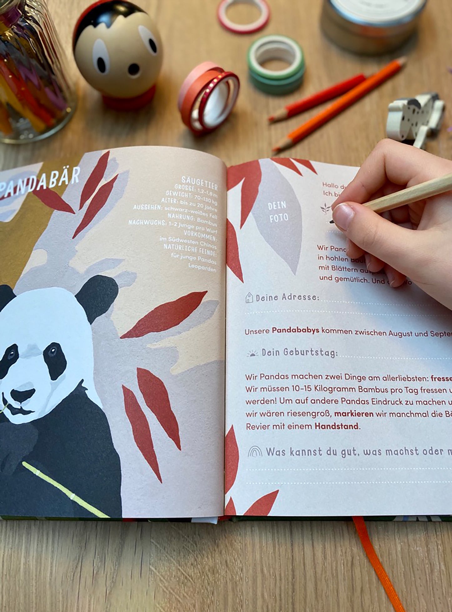 Ein tierischer Abenteuerspaß für dein Schulkind. DAS wilde FREUNDEBUCH ist eine zauberhafte Kombination aus wertvollen Tiererzählungen und klassischem Freundebuch. Mit seinem Inhalt weckt es bei deinem Schulkind die Liebe zur Natur. Ausserdem bieten die farbenfrohen Seiten viel Platz für all die neue Freundschaften und die lebendigen Erinnerungen an die Schulzeit. Das perfekte Geschenk zum Schulstart oder zum Kindergeburtstag.